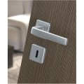 hoppe-door-handle-dublin-series-112424k24ks.jpg